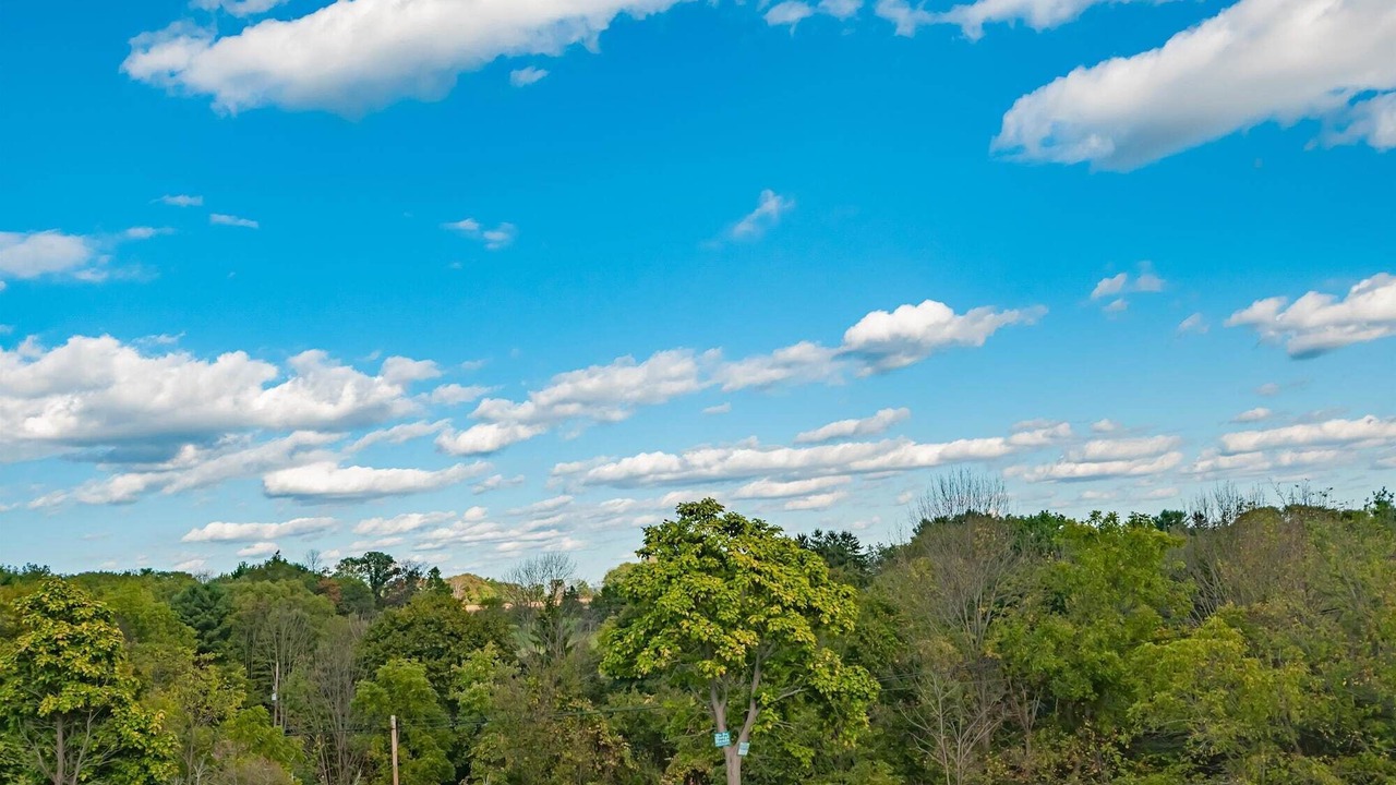 Photo of Outdoor in Sybertsville