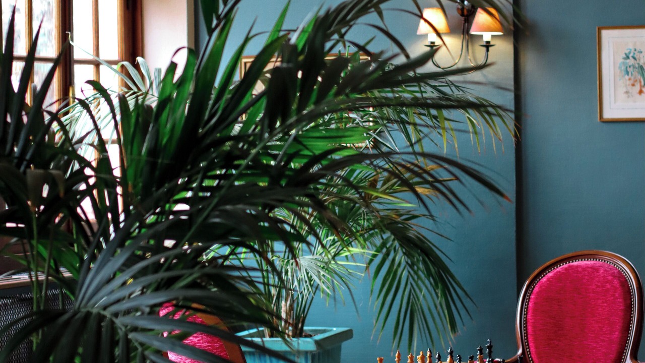 Photo of Others in Neuvecelle