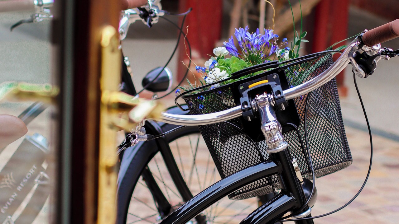 Photo of Outdoor in Neuvecelle