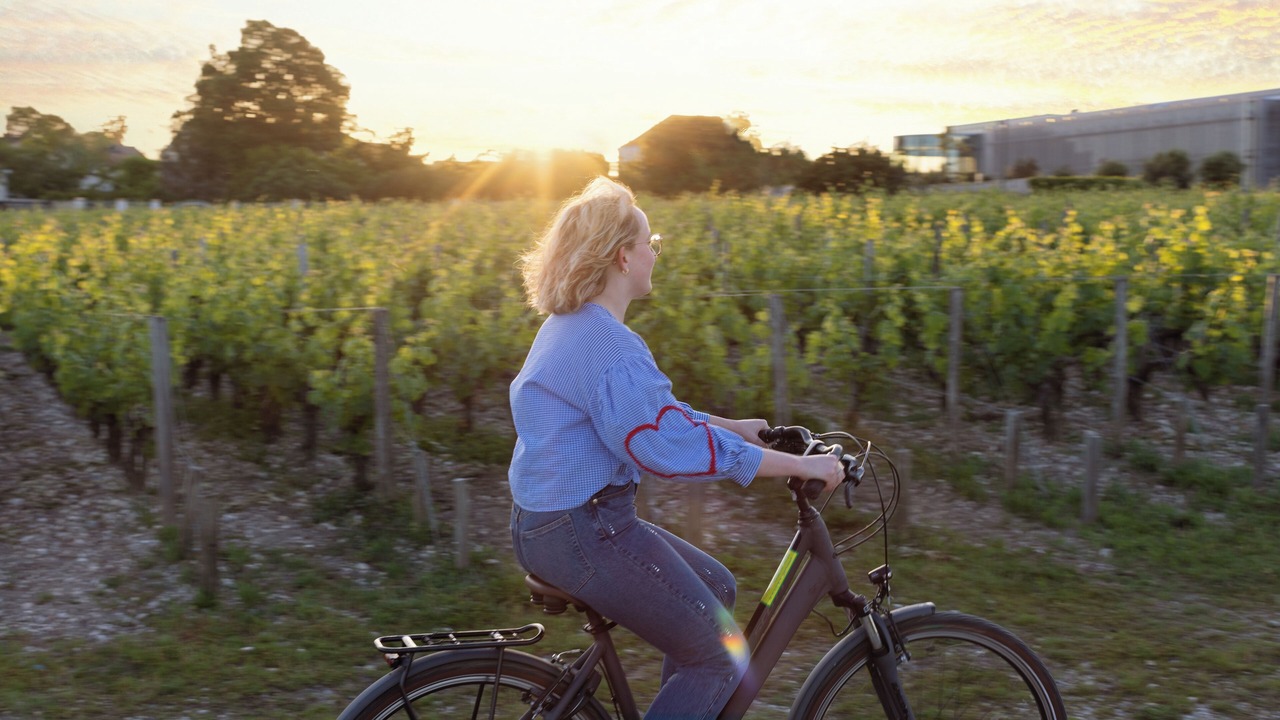Photo of Outdoor in Pauillac