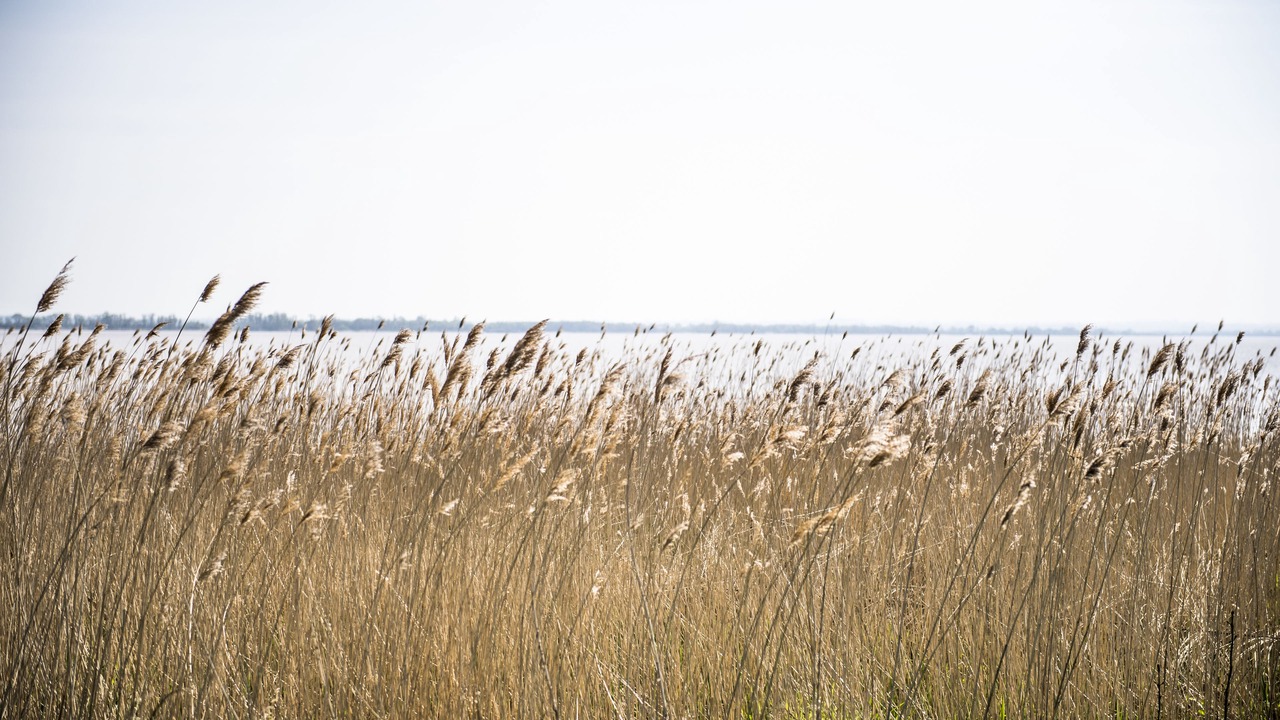 Photo of Outdoor in Pauillac
