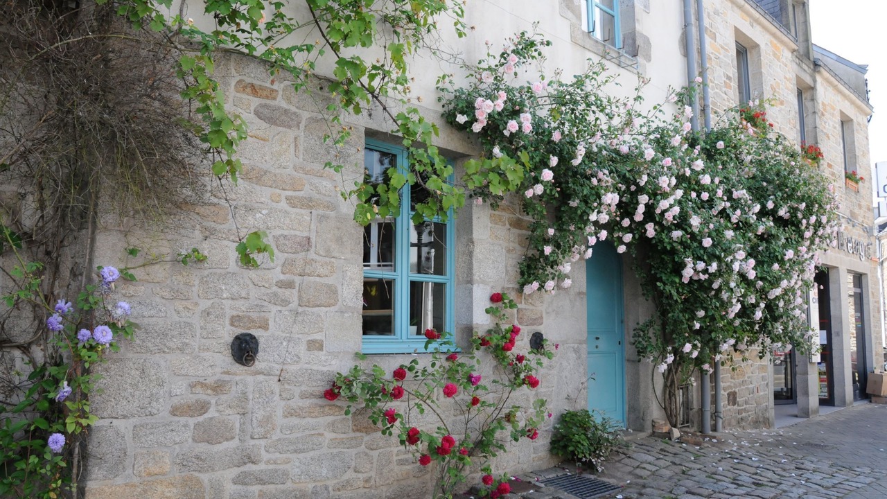 Photo of Outdoor in La Roche-Bernard