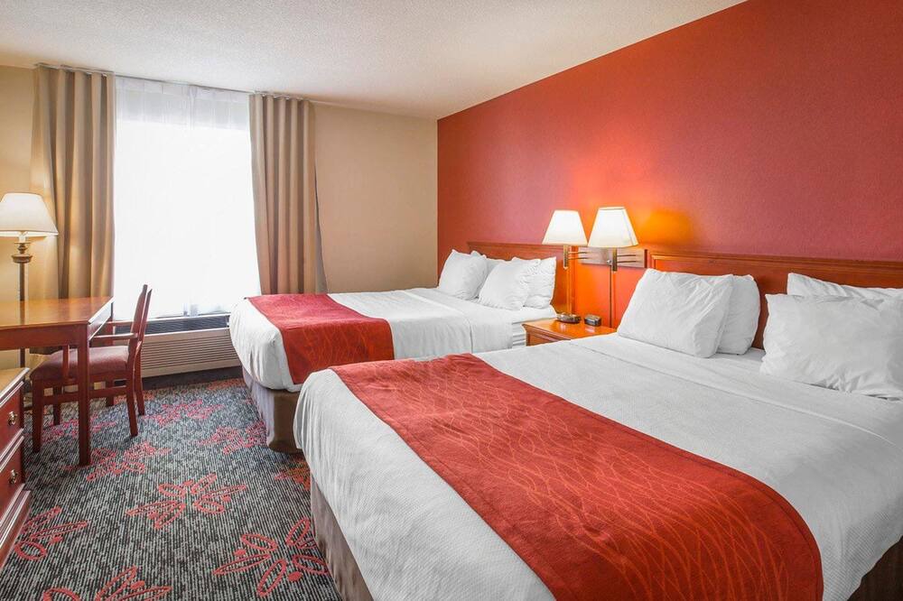 Photo of Others in Banff Trail