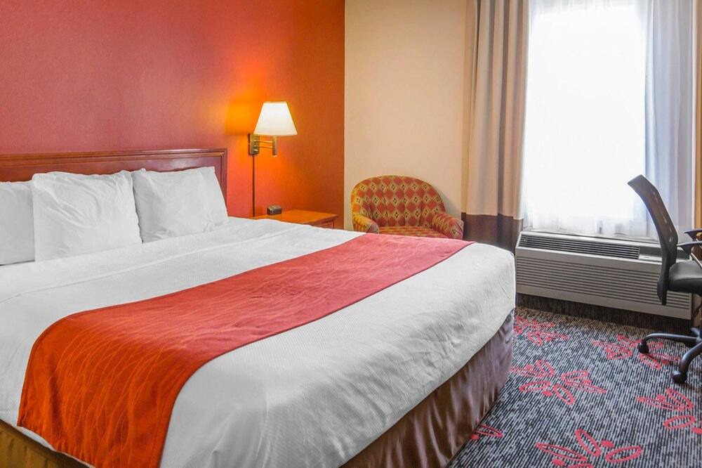 Photo of Others in Banff Trail