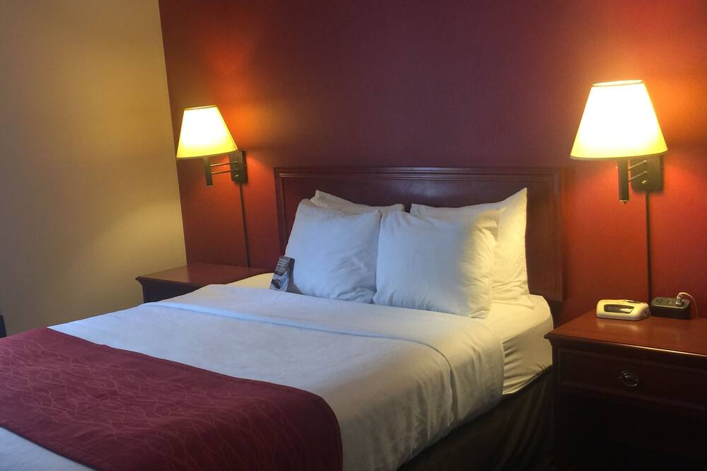 Photo of Others in Banff Trail