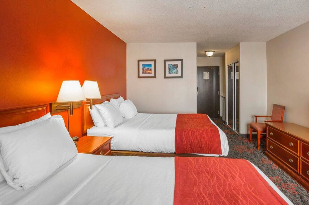 Photo of Others in Banff Trail