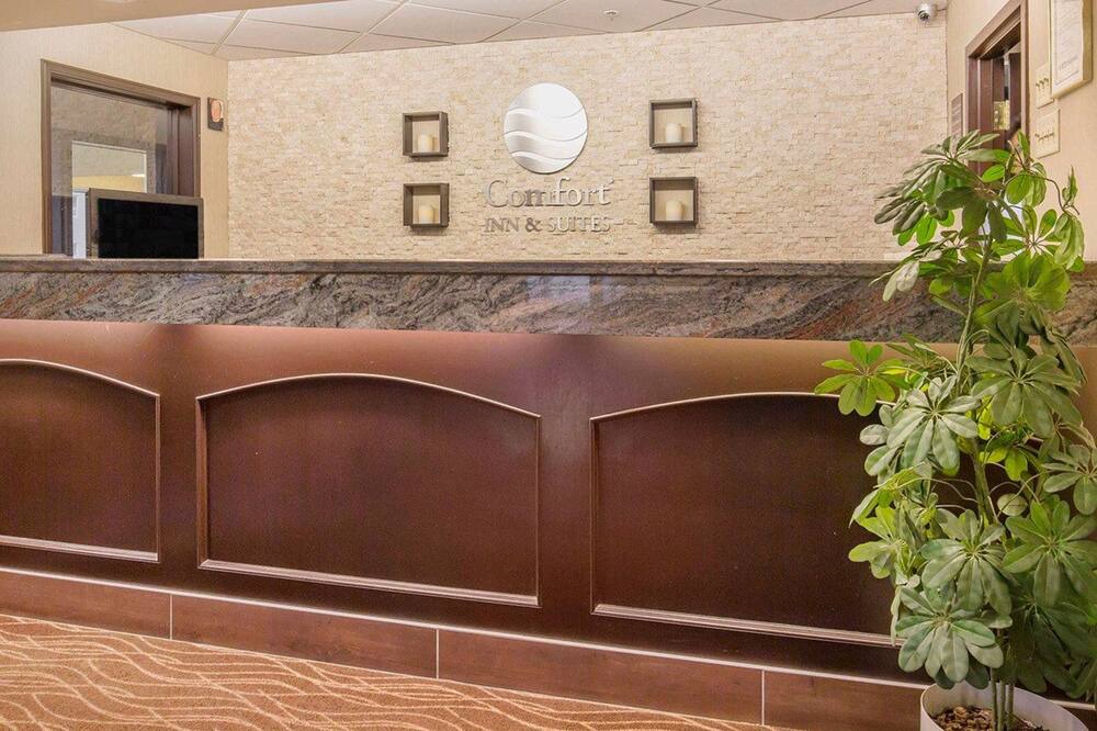 Photo of Others in Banff Trail