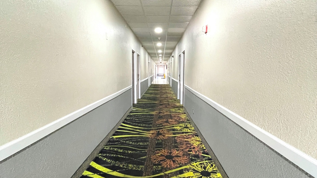 Photo of Others in Anderson