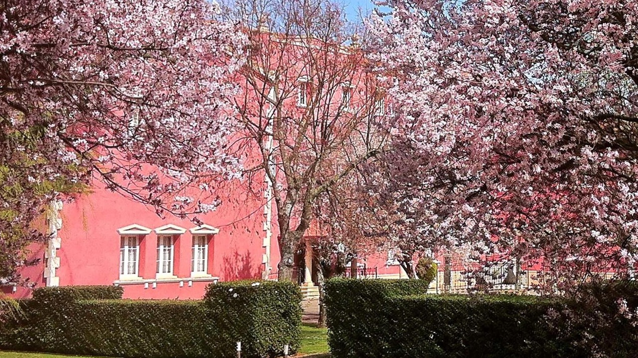 Photo of Outdoor in Navarrete