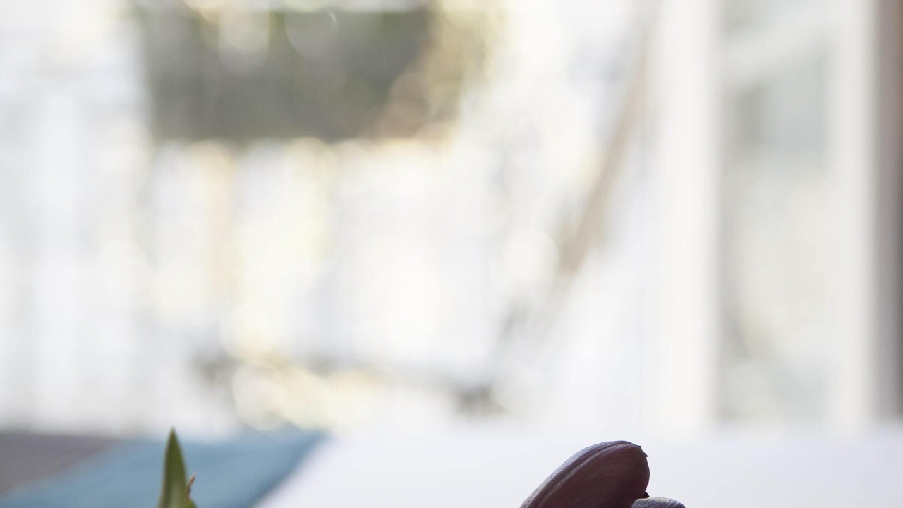 Photo of Patio Balcony in 13th Arrondissement
