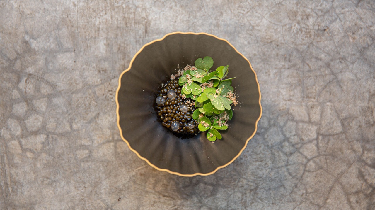 Photo of Outdoor in Avignon City Centre