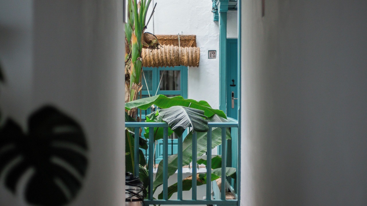 Photo of Outdoor in Santa Catalina