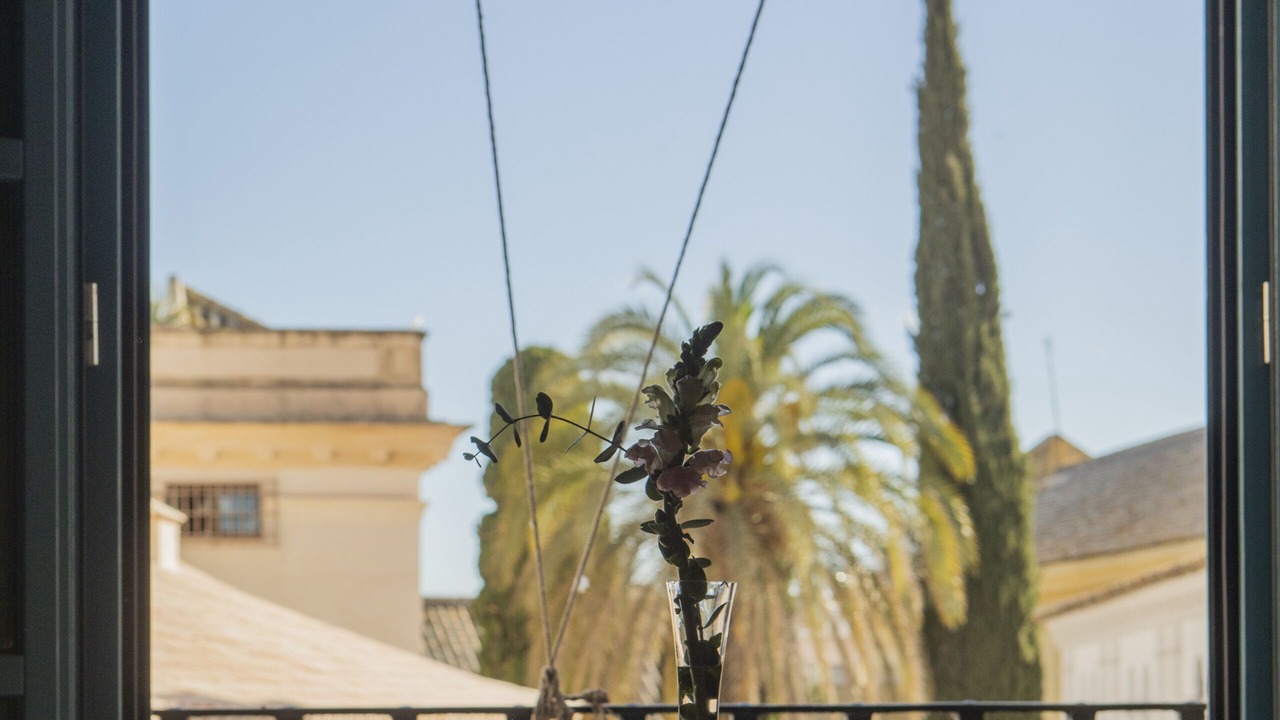 Photo of Others in Santa Catalina