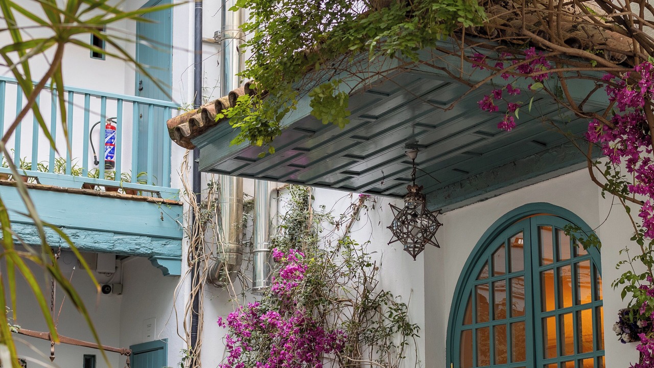 Photo of Outdoor in Santa Catalina