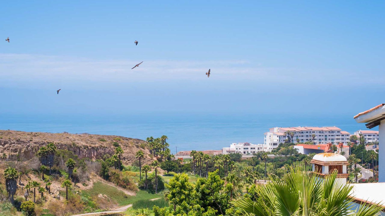 Photo of Others in Real Del Mar