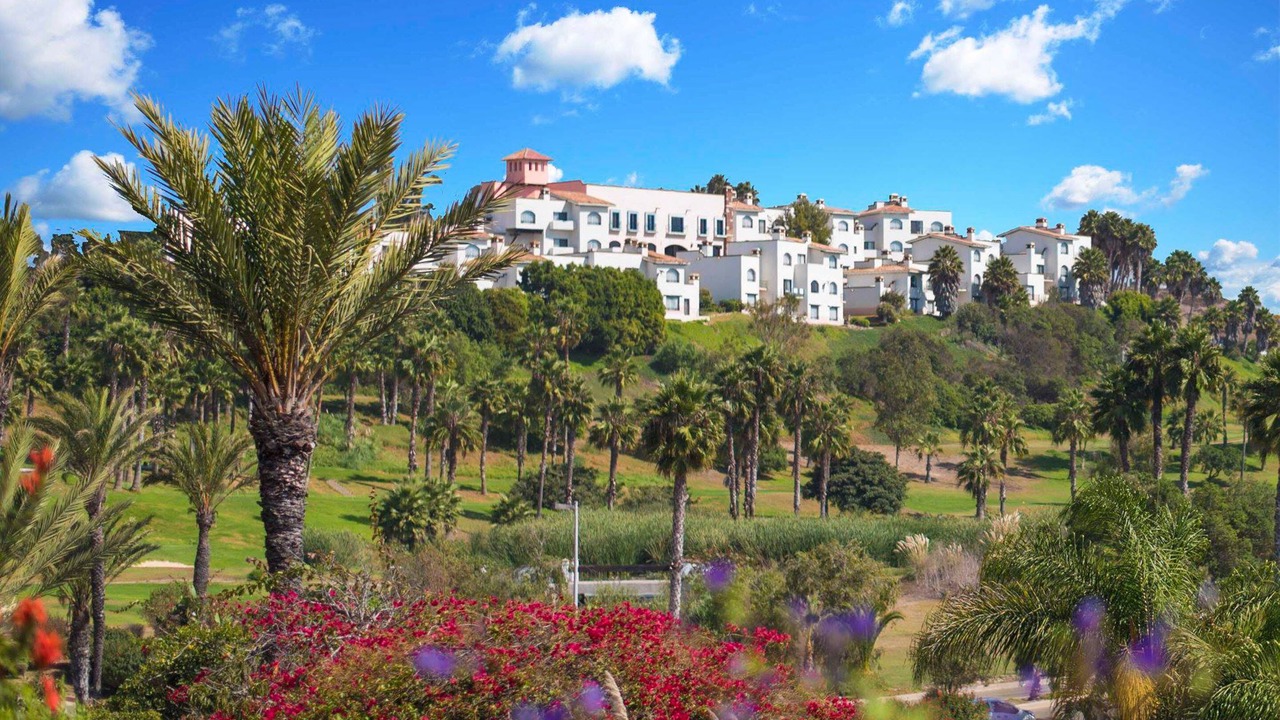 Photo of Others in Real Del Mar