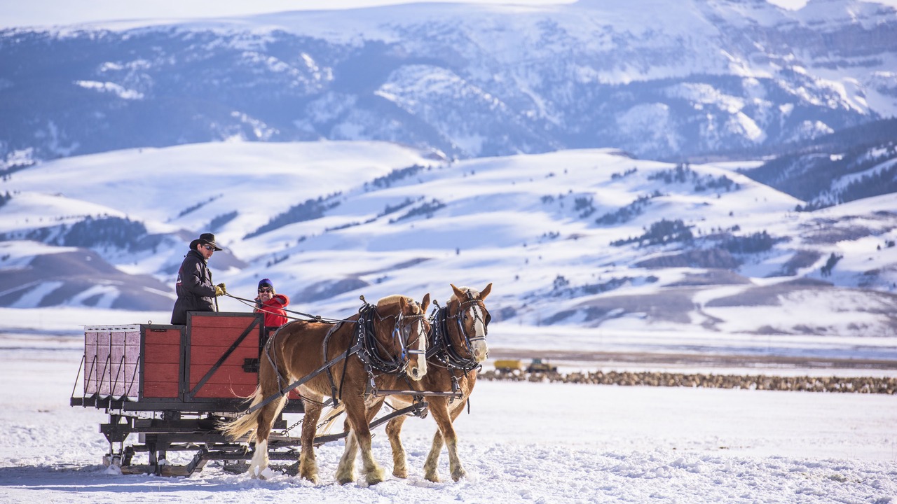 Photo of Others in Jackson Hole