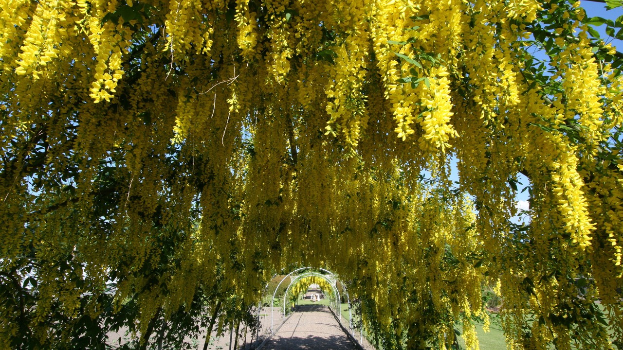 Photo of Outdoor in Peebles