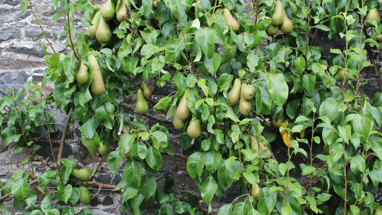 Photo of Outdoor in Peebles