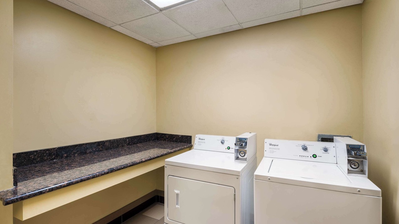 Photo of Others in Berwick