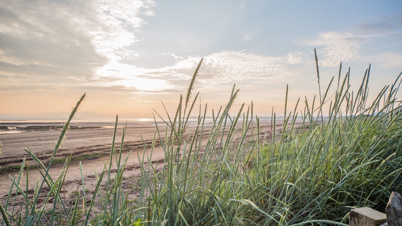 Photo of Others in Troon