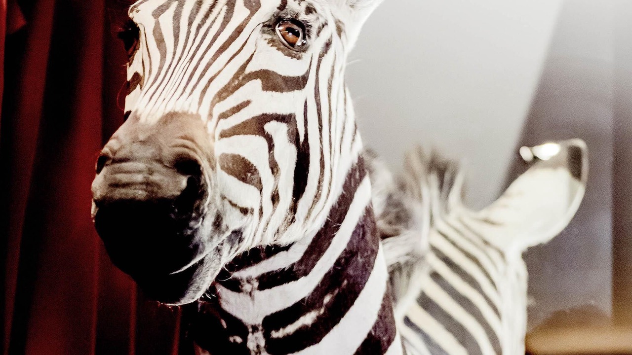 Photo of Others in Quartier Exposition-Bajatiere