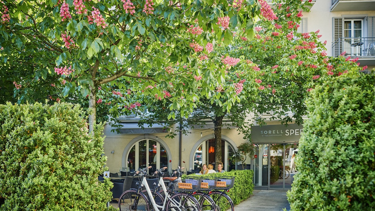 Photo of Outdoor in Rapperswil
