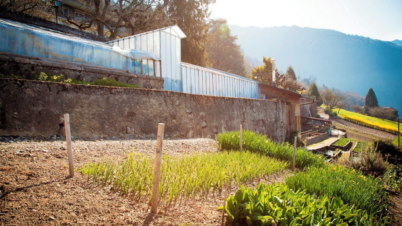 Photo of Outdoor in Glion