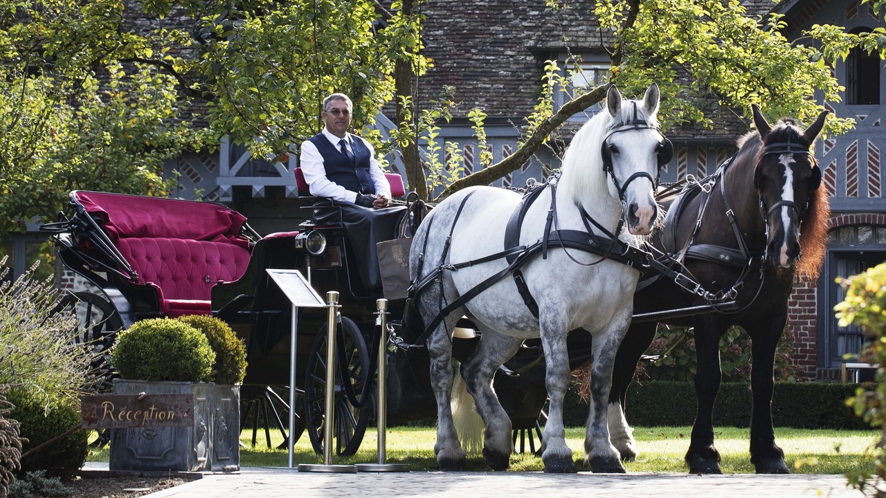 Photo of Others in Honfleur