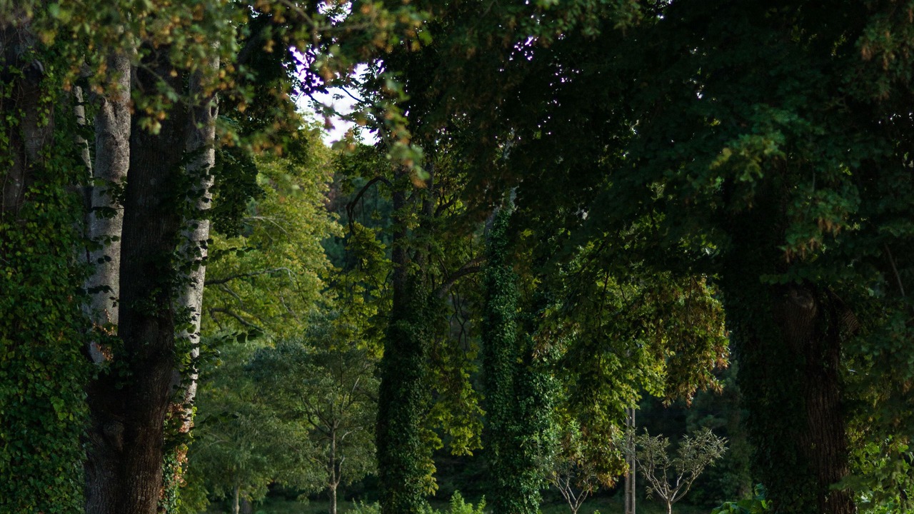 Photo of Outdoor in Sabran