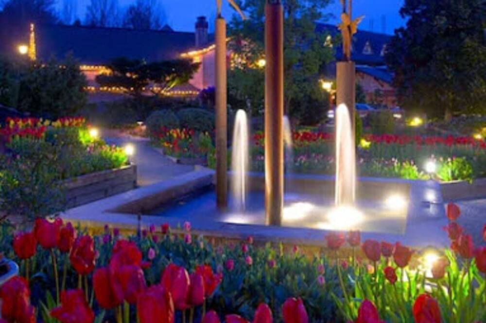 Photo of Outdoor in Woodinville