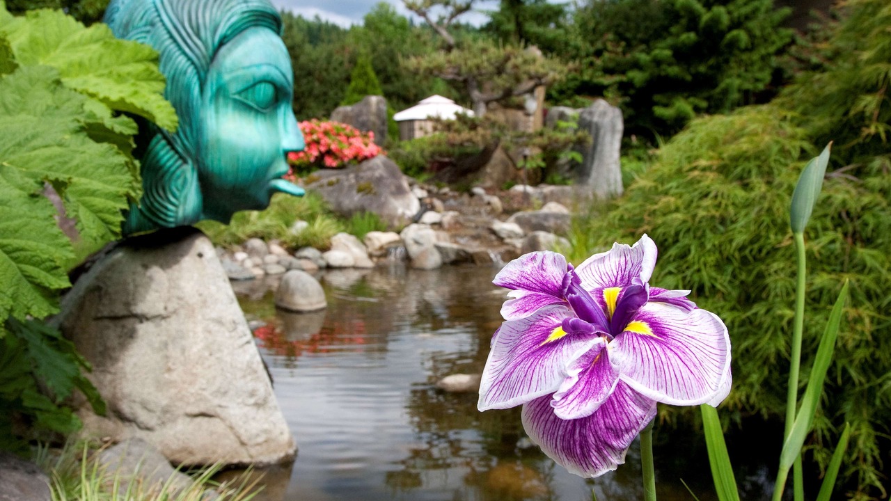 Photo of Others in Woodinville