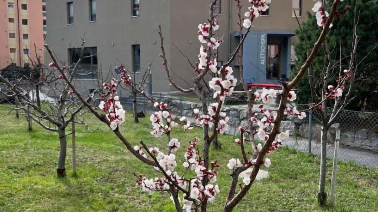 Photo of Outdoor in Naters