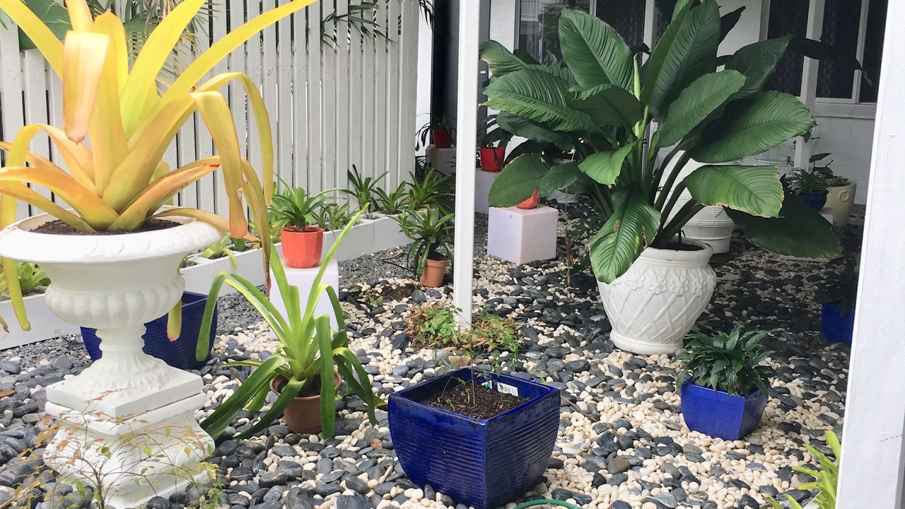 Photo of Outdoor in Woree