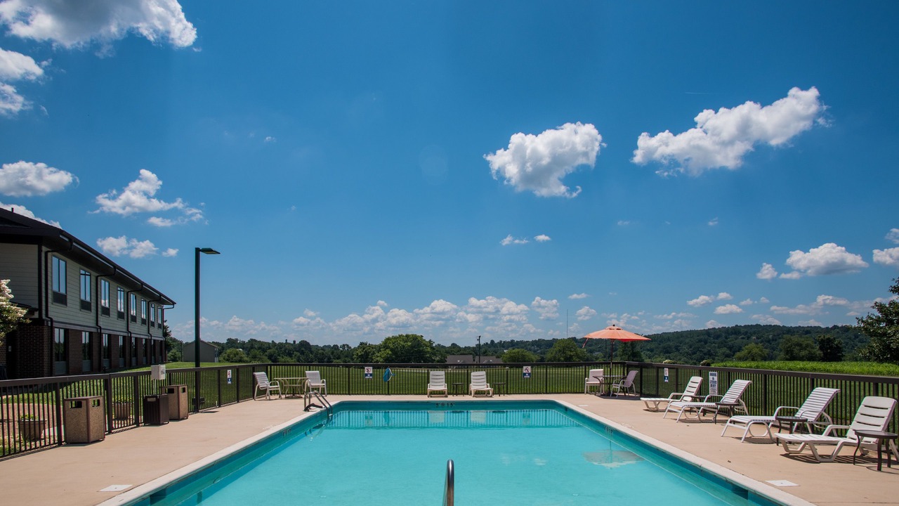 Photo of Outdoor in Orange