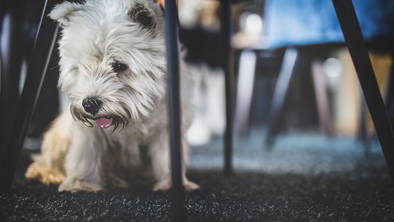 Photo of Others in Aarhus C