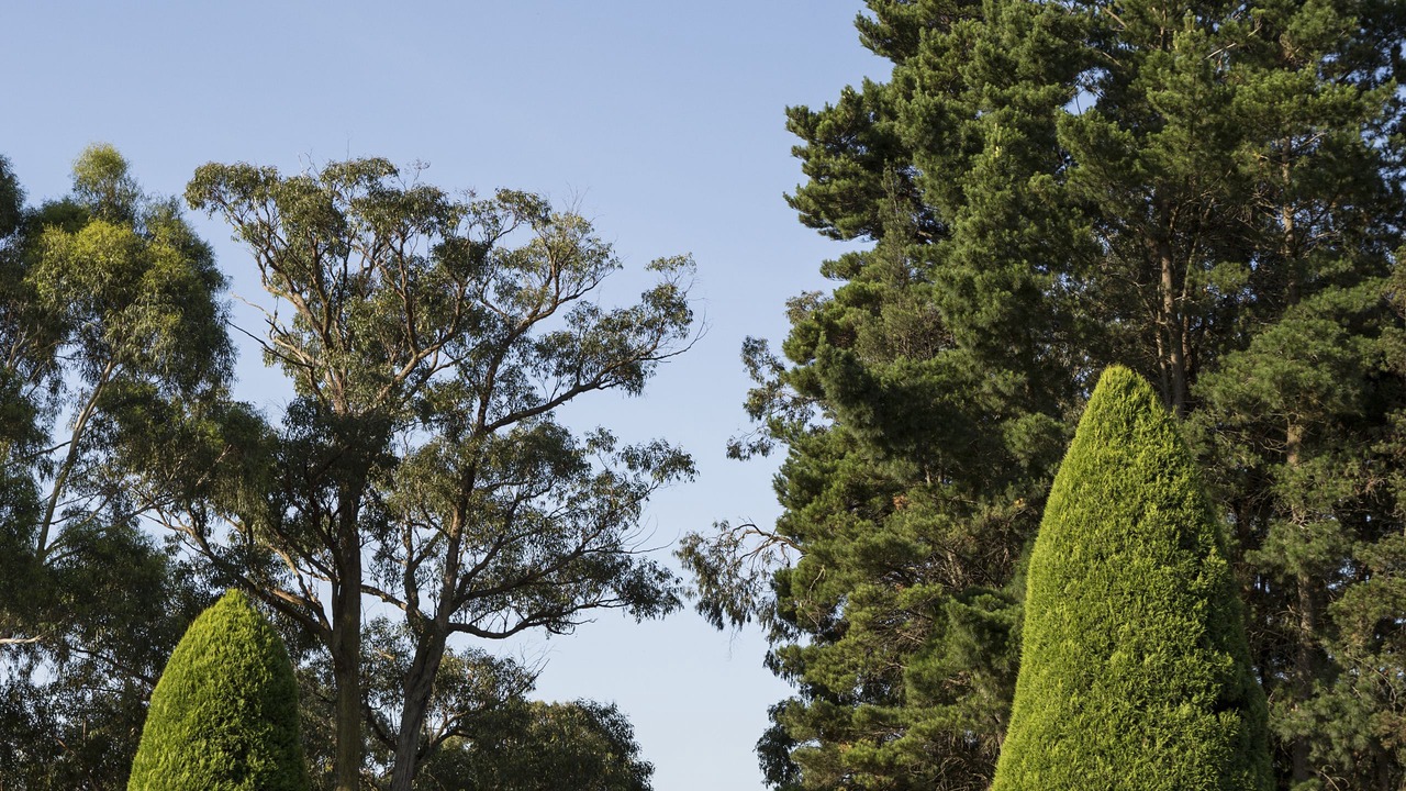 Photo of Outdoor in Red Hill