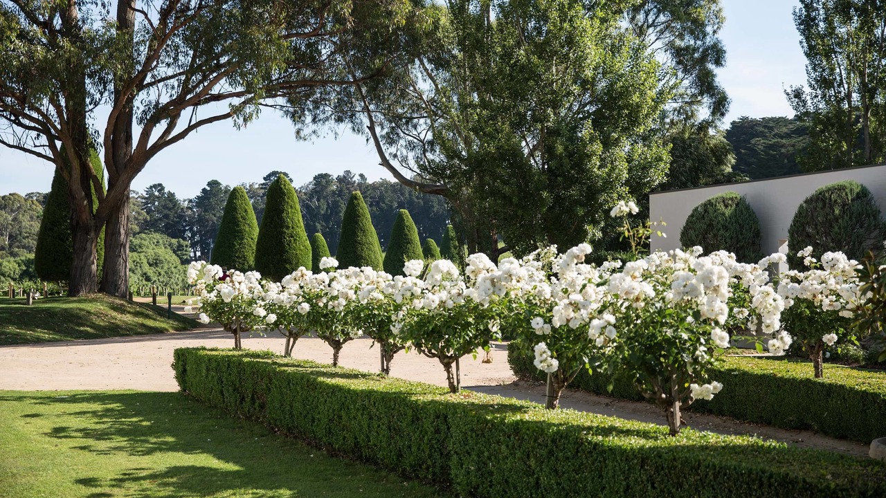 Photo of Outdoor in Red Hill