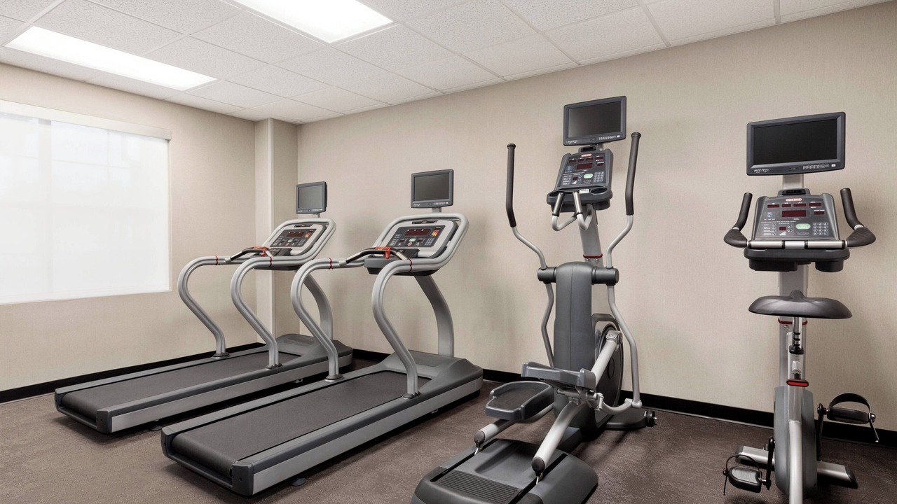 Photo of Others in Nut Tree