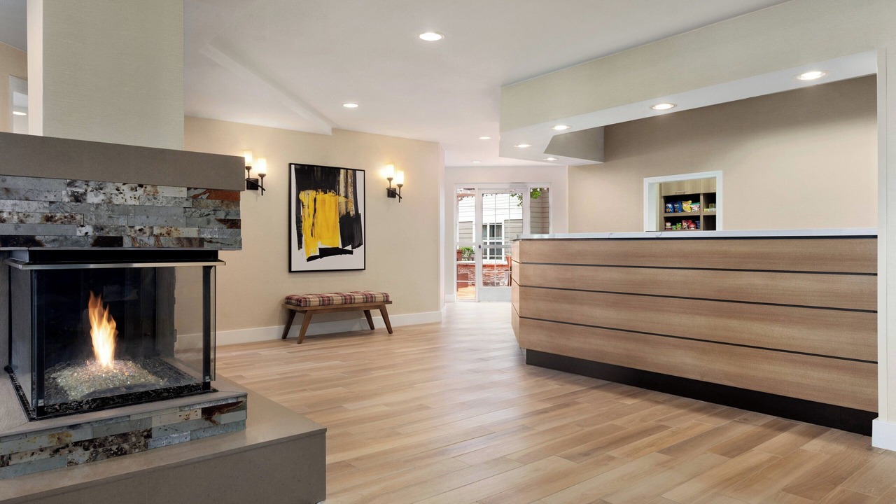 Photo of Others in Nut Tree