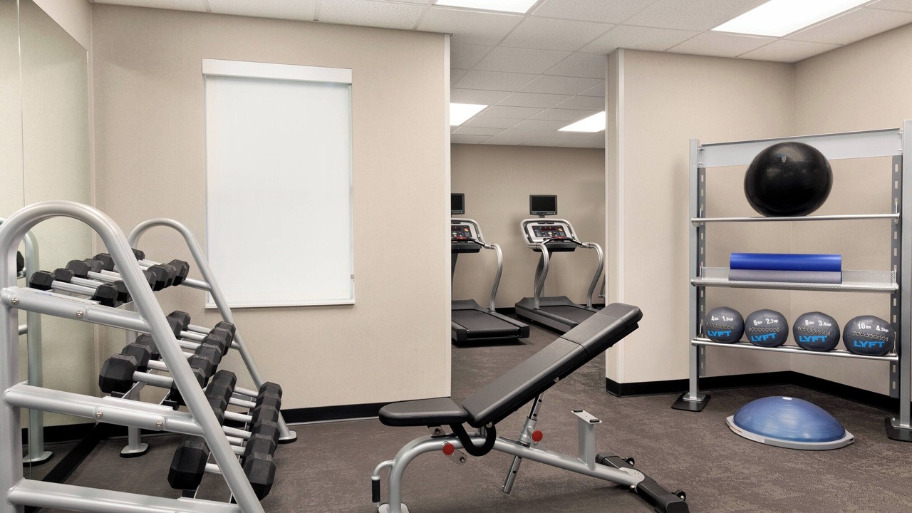 Photo of Others in Nut Tree