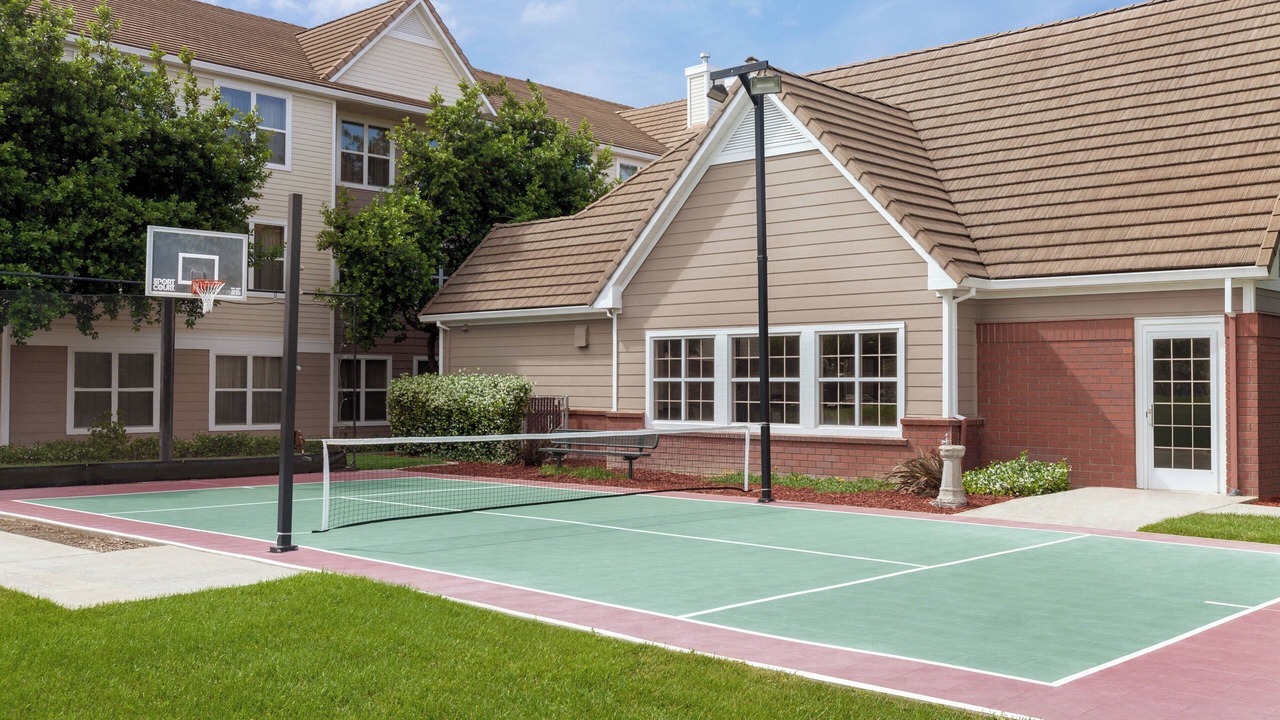 Photo of Others in Nut Tree