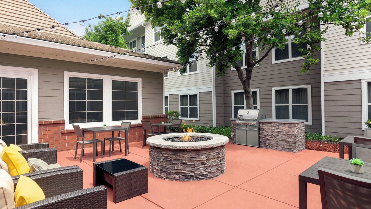 Photo of Others in Nut Tree