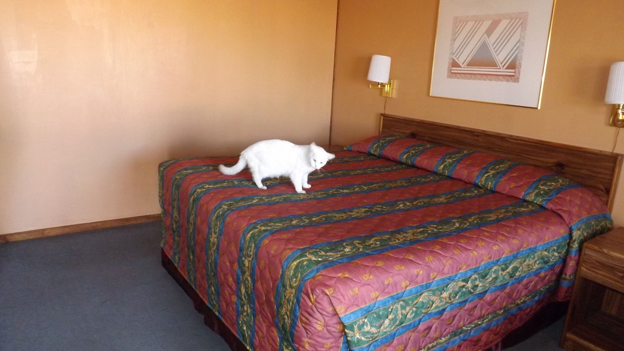 Photo of Bedroom in Tucumcari