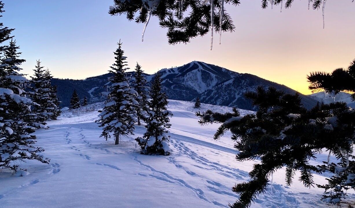 Photo of Others in Ketchum