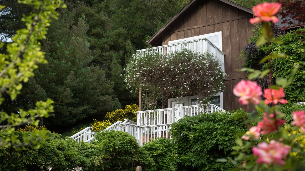 Photo of Outdoor in Freestone