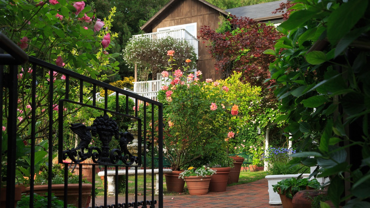 Photo of Outdoor in Freestone