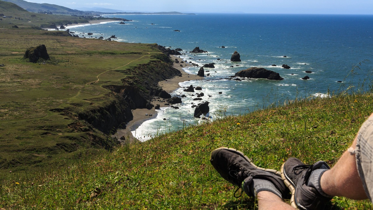 Photo of Others in Freestone