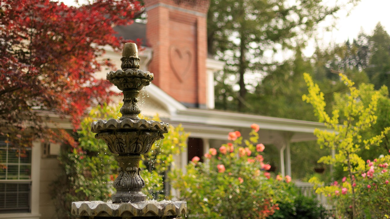 Photo of Outdoor in Freestone