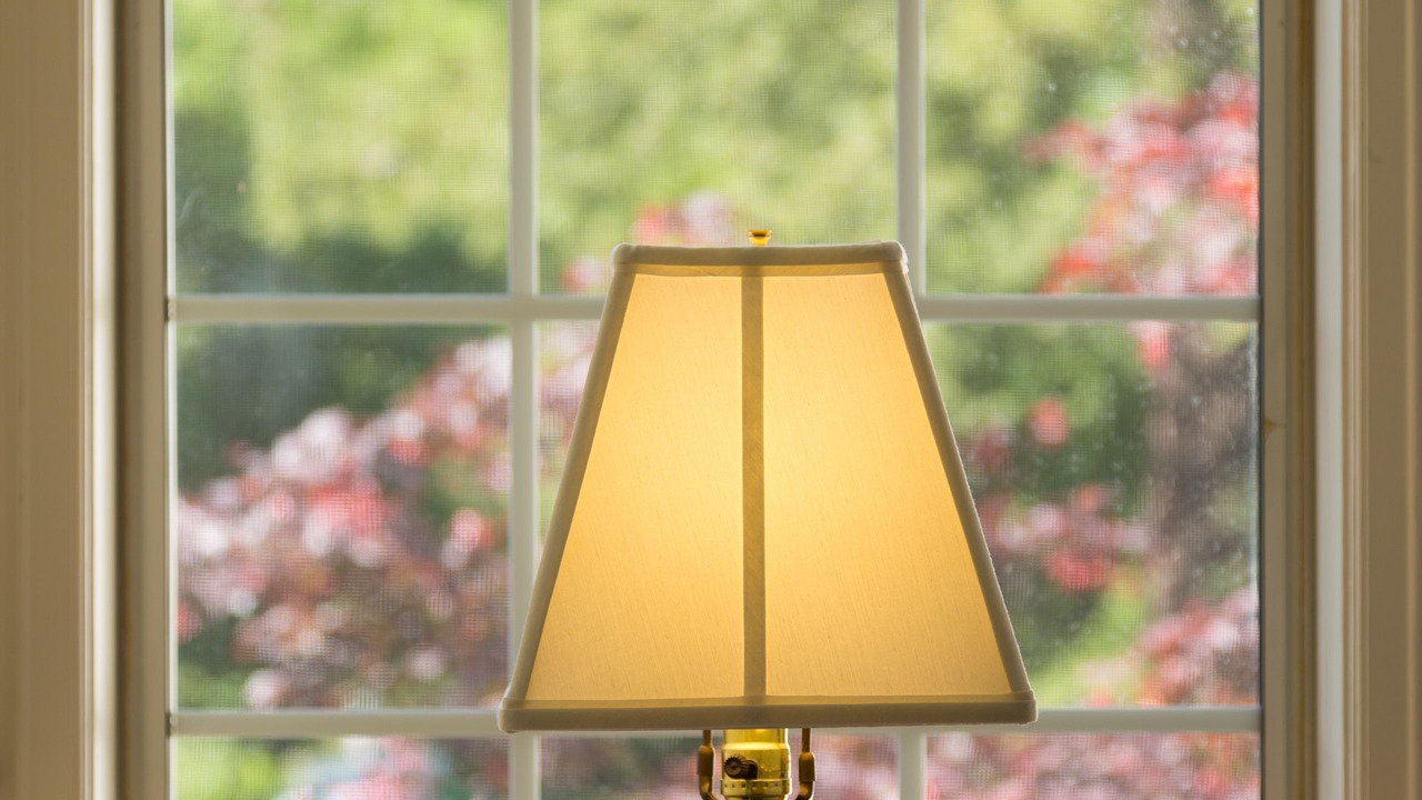 Photo of Others in Freestone